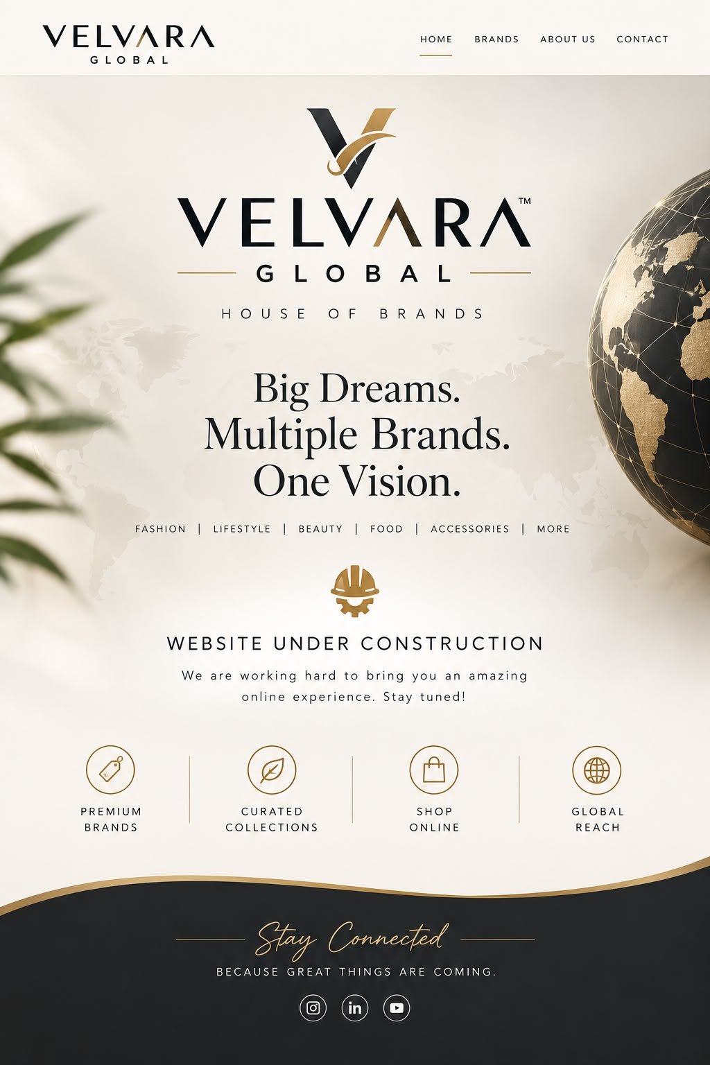 Velvvara Global